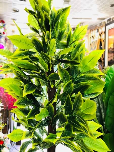 ARTIFICIAL PLANT JUMBO SIZE / 7 Ft / Mango leafs 9