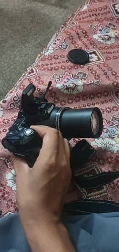 Nikon