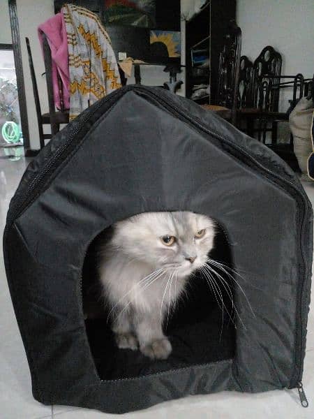 cat house 0