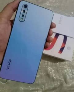 vivo