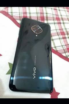 vivo