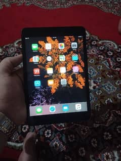 ipad mini 2