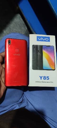 vivo