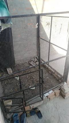 cage for sale