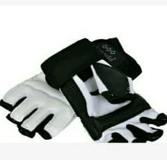 Taekwondo Gloves