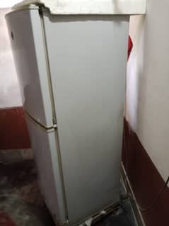 pel fridge. . medium size for sale . . .