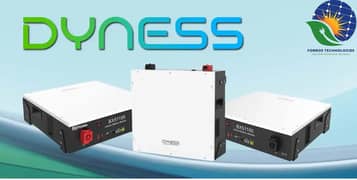 Dyness Lithium Ion Battery with 5-Year Replacement Warranty