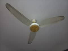 Royal fans 3 for sale fancy fans no fault no repair