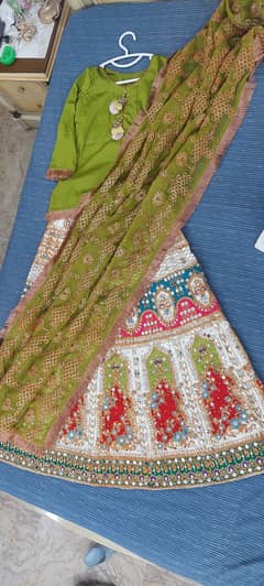 Beautiful mehndi gagra choli