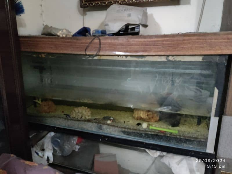 Fish Aquarium available with all accessories 3