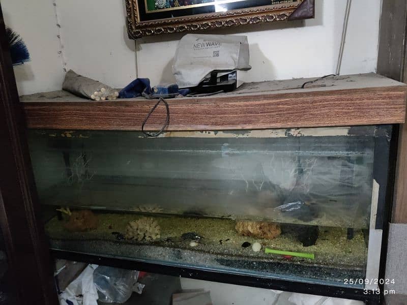 Fish Aquarium available with all accessories 6