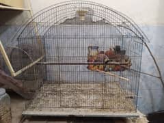 Cages for sale