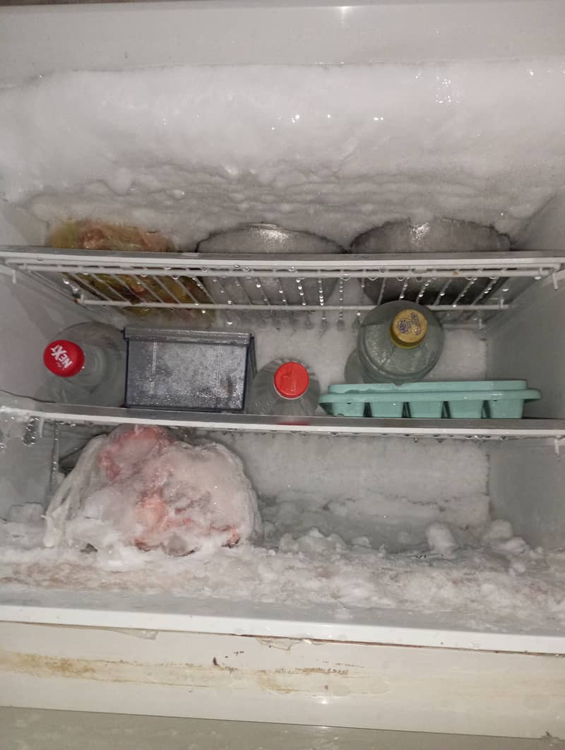 PEL Arctic Refrigerator 15