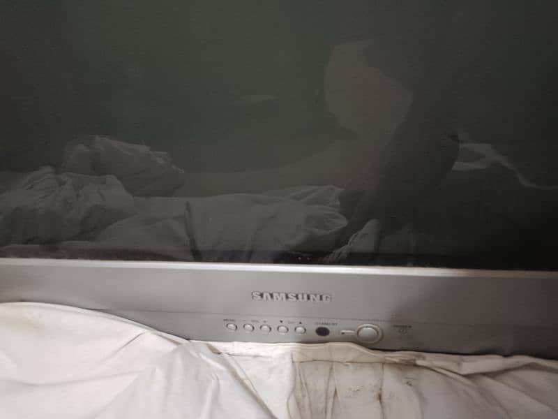 Samsung Plano TV 2