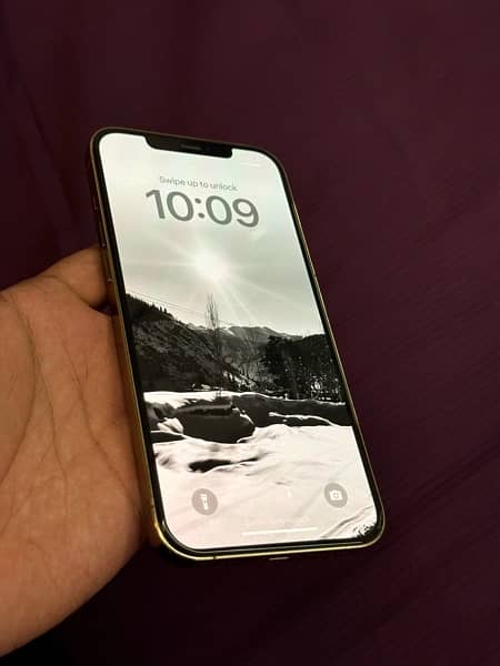 Iphone 12 Pro Max PTA approved 256gb 1