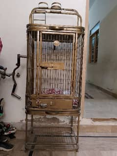 Raw parrot+ Cage