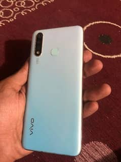 Vivo