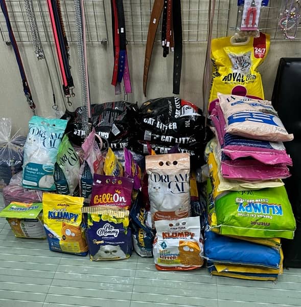 Dog and Cat Accessories and Food 2