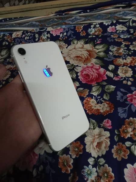 Apple iPhone XR 5