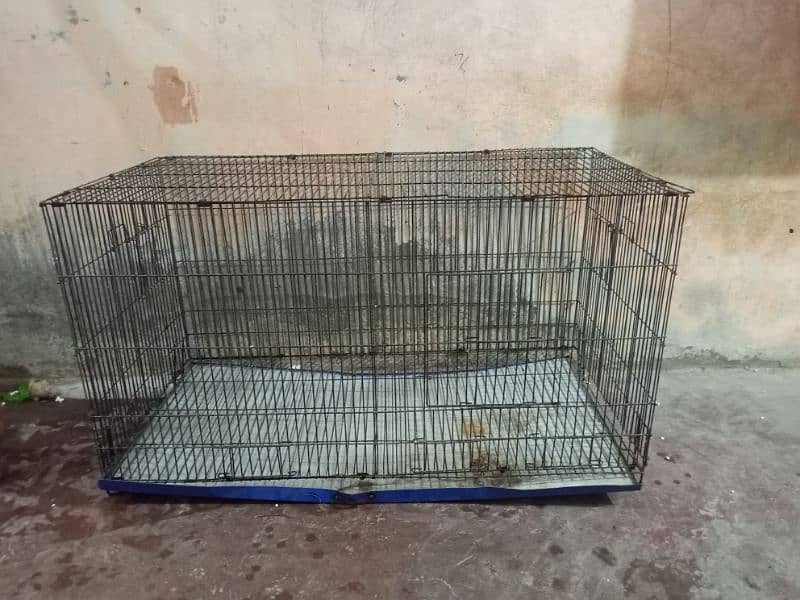 folding Cage 1