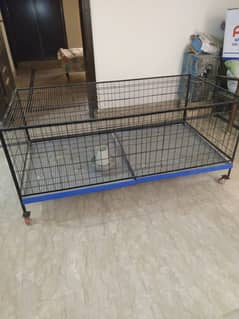 cage (pinjara) for hens