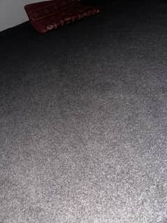 Newly Carpet For Sale