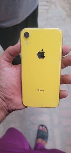 iphone XR none PTA 64GB