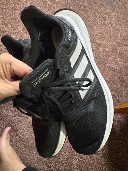 Adidas Chaos Model Shoes For Sale 1