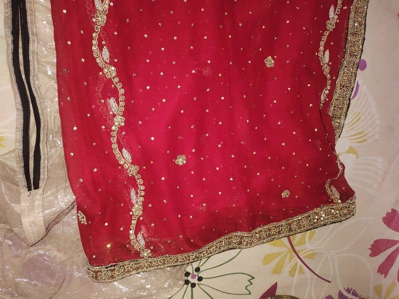 only fancy dupatta red and green colour 0