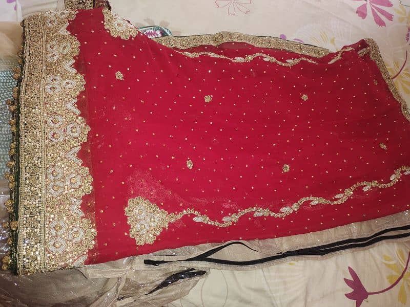 only fancy dupatta red and green colour 2