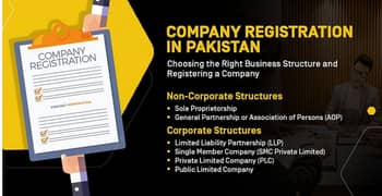 Registration of Companies  ,Filing of Income Tax Returns, Trademarks