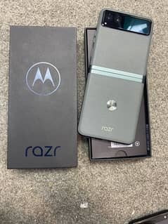 Motorola Razr 40 PTA Approved