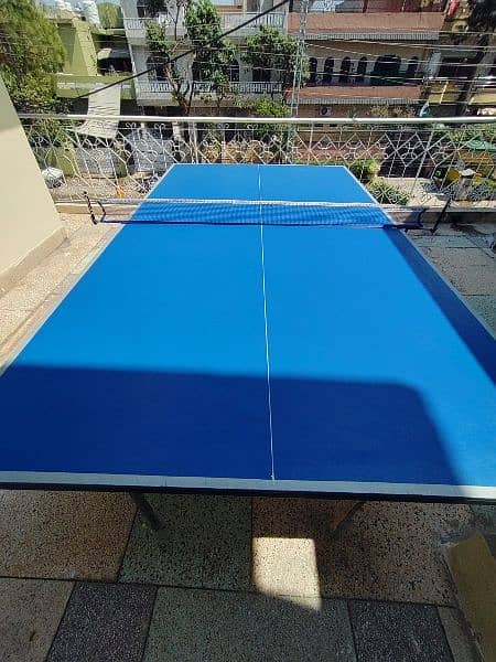 Table Tennis Table with Net 1