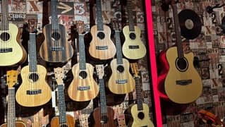 begginers ukulele, ukulele price, buy online ukulele