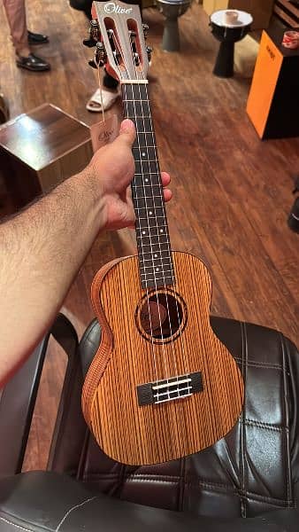 begginers ukulele, ukulele price, buy online ukulele 1