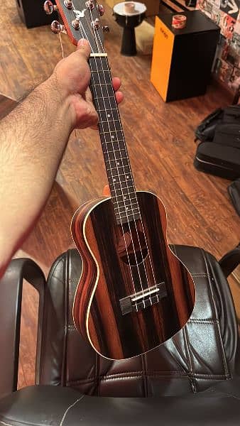 begginers ukulele, ukulele price, buy online ukulele 2