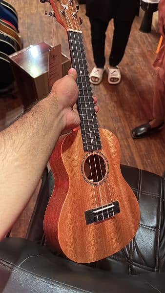 begginers ukulele, ukulele price, buy online ukulele 4