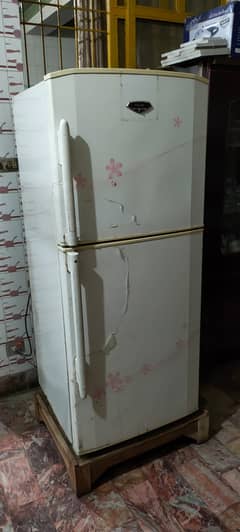 haier full size fridge