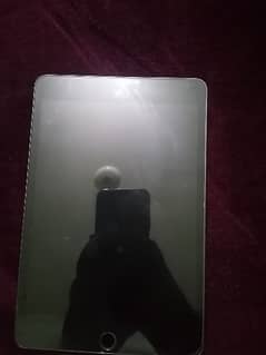 Ipad mini 5