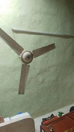 ceiling fan for sale