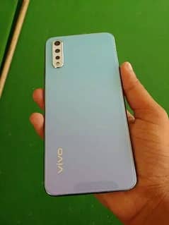 vivo