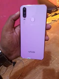 Vivo