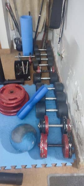 gym equipment for sale including bench, dumbbells, bars 3