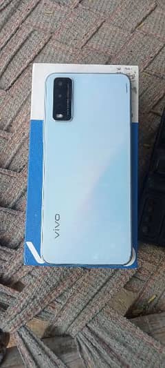 vivo