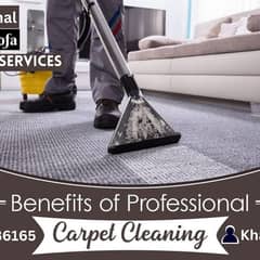 Professional Water Tank Cleaning, Sofa Carpet Cleaning home services