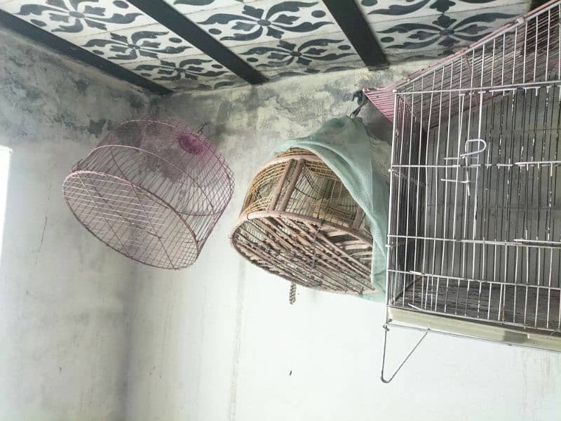 Cage for Birds 2