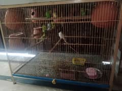 cage for sale and all birds for sale 5 pair