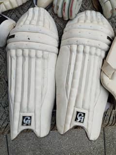 pads hard ball cricket