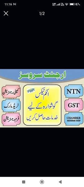 TAX CONSULTANT,FBR,NTN,GST,IPO,COMPANY REGISTERATION,SECP 0