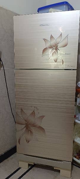 large size fridge for sale 2